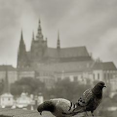 photo "Prague#1"