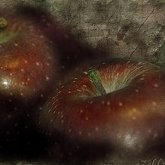 photo "pommes"