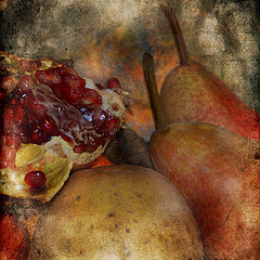 фото "pomegranate & pears"