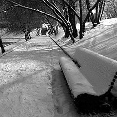 фото "..а ведь почти наступила зима"