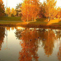 photo "Autumn reflection"