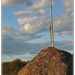 photo "Stack"