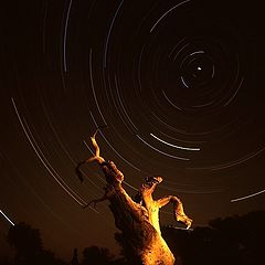 photo "Orbit of the constellation"