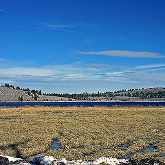 photo "Winter Marshland"