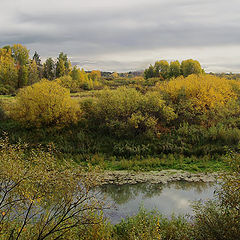 photo "Autumn dull day"