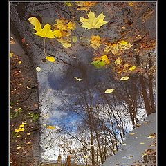 photo "City in Autumn"