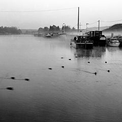 фото "morning on port"