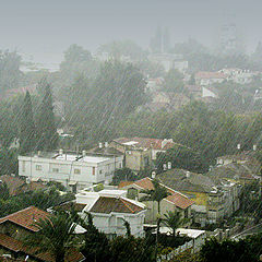 photo "Downpour"