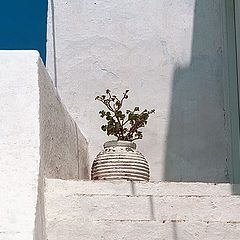 photo "Greece #5: In the rays of the midday sun"