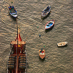 photo "Father and sons..."