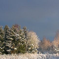 фотоальбом "Winter"