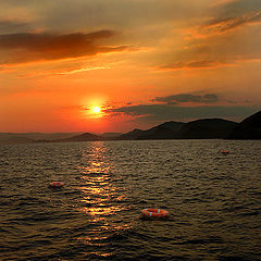 photo "Life-buoys on the water"