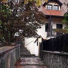 photo "Autumn alleyway"