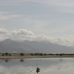 фото "tibet series"