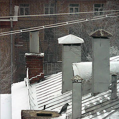 photo "Six on the roof"