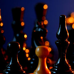 фото "chess2"