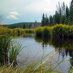 photo "Still Waters Run Deep"