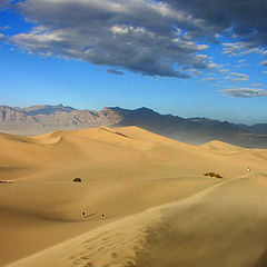 фото "Dune"