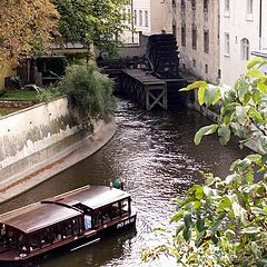 photo "Prague Fall"