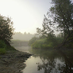 photo "Foggy morning"