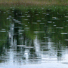 photo "Tear drops in the rain"