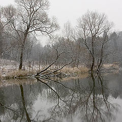 фото "Хмурое утро"