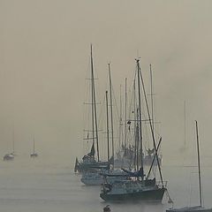 photo "Yachts - November morning"