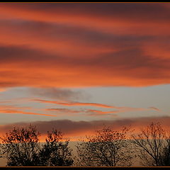 фото "Багровые небеса (закат)"