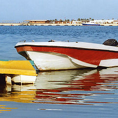 photo "The colors"