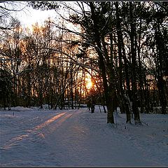 photo "Evening Walk in the Park"