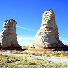 photo "The Elephant Feet"