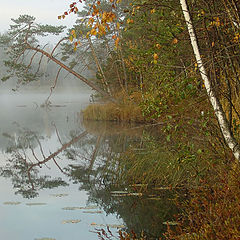 фото "сказки русского леса (1)"