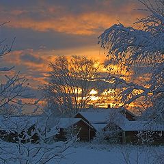 фото "Evening sky"