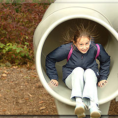 фото "Hair electricity"