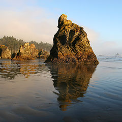 фото "Sand Reflections"