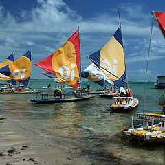фото "Jangadas"