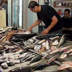 photo "At fish market"