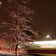 фото "Зимняя ночь"