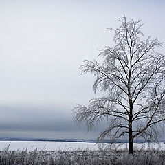 photo "all alone..."