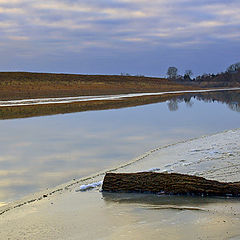 фото "icy cover"