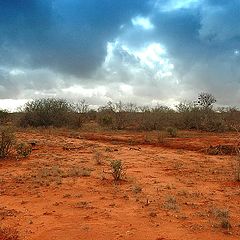 фото "Tsavo East vol.2"