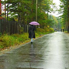 photo "The road"