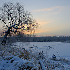 photo "Tumbling to Winter"