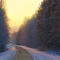 photo "Tumbling to Winter"