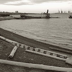 photo "on the beach"