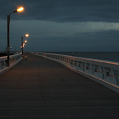 photo "About the departuring ferry and a lonely bird..."