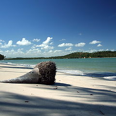 photo "Carneiros Beach (Tamandare, Pernambuco - Brasil)"