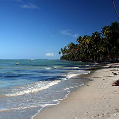 photo "Tamandare Beach (Permanbuco Brasil)"