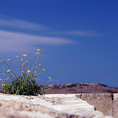 photo "On the fortress wall"