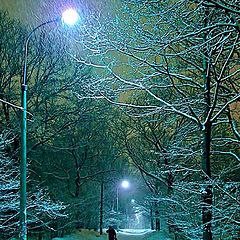 photo "Blizzard in the park"